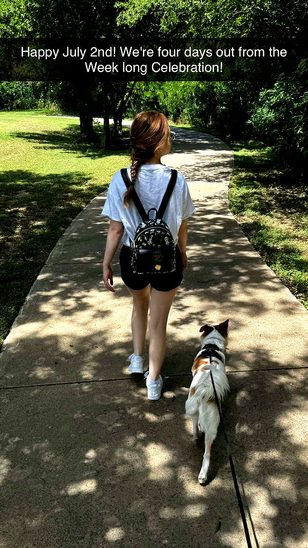 lyssaurora image ~ Altpins