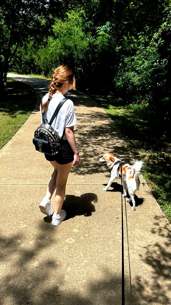 lyssaurora image ~ Altpins