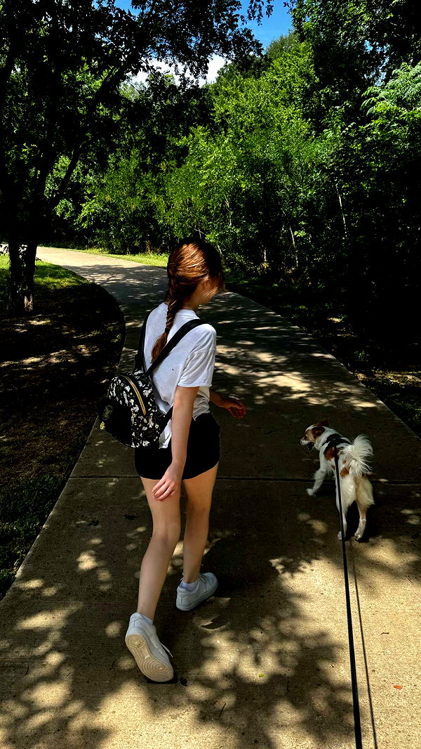 lyssaurora image ~ Altpins