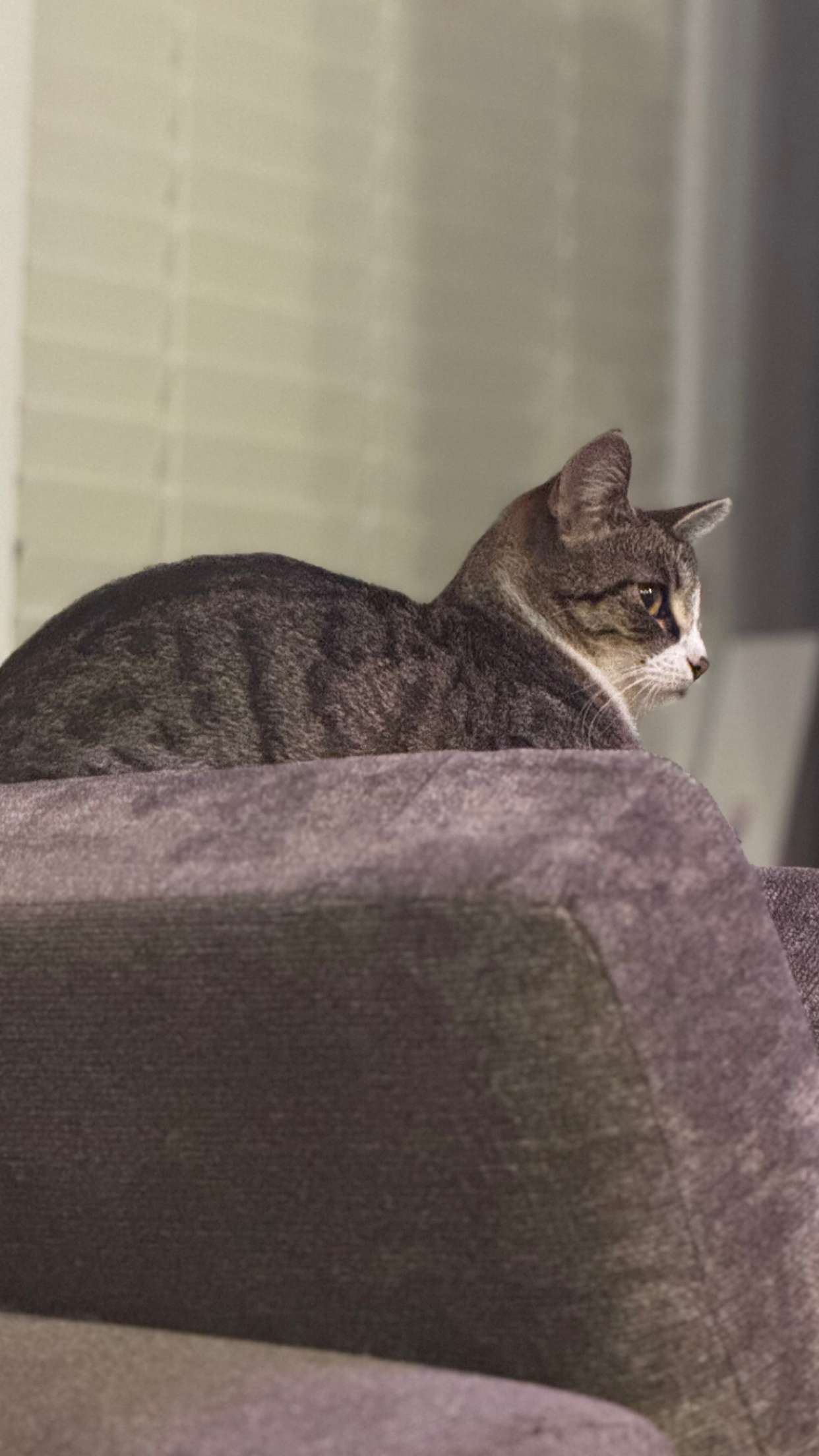 lyssaurora snapchat image archive image