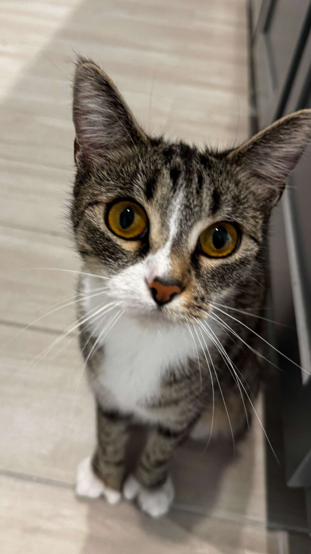 lyssaurora snapchat image archive image