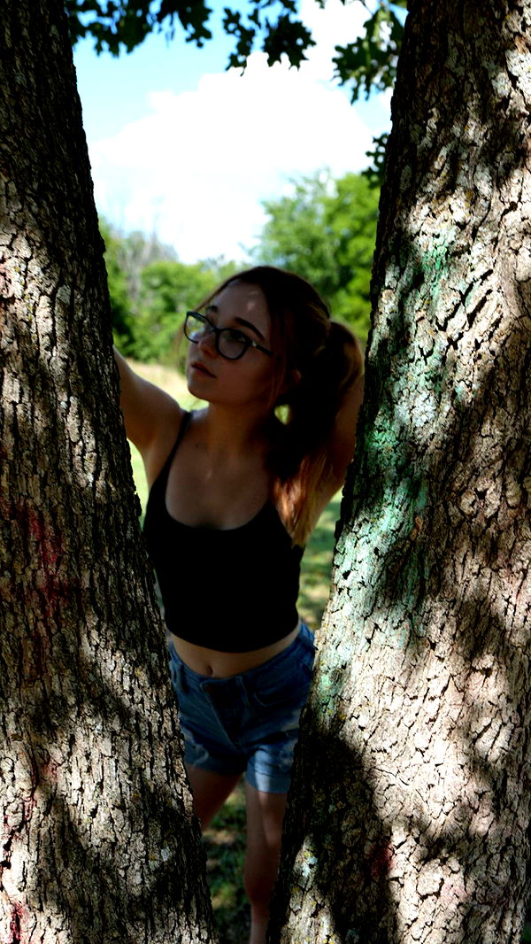 lyssaurora image ~ Altpins