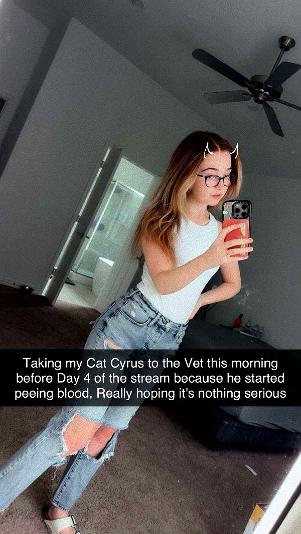 lyssaurora image ~ Altpins