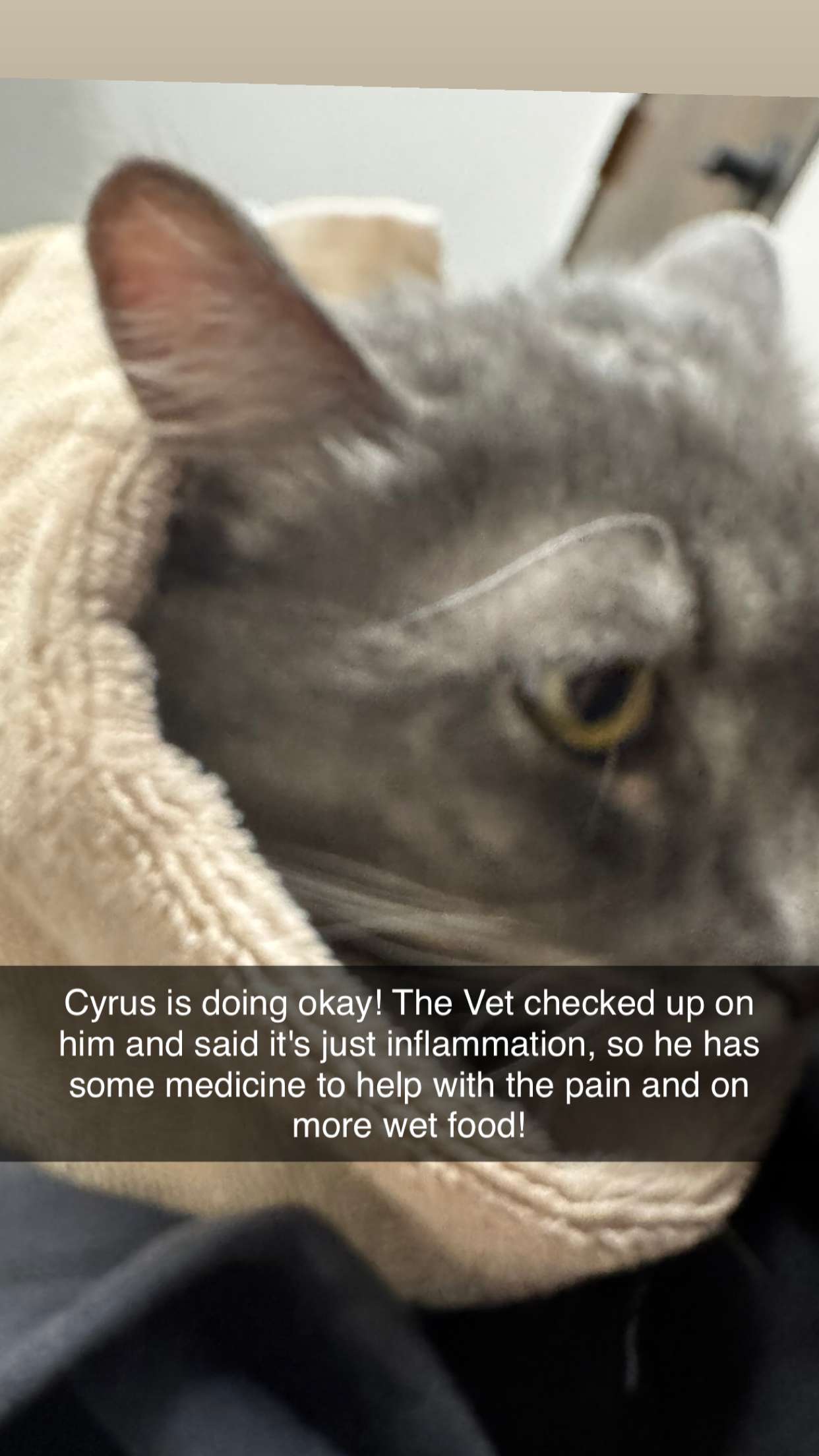 lyssaurora snapchat image archive image