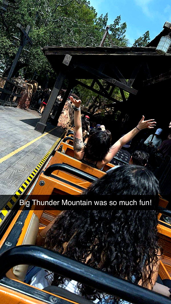 lyssaurora image ~ Altpins