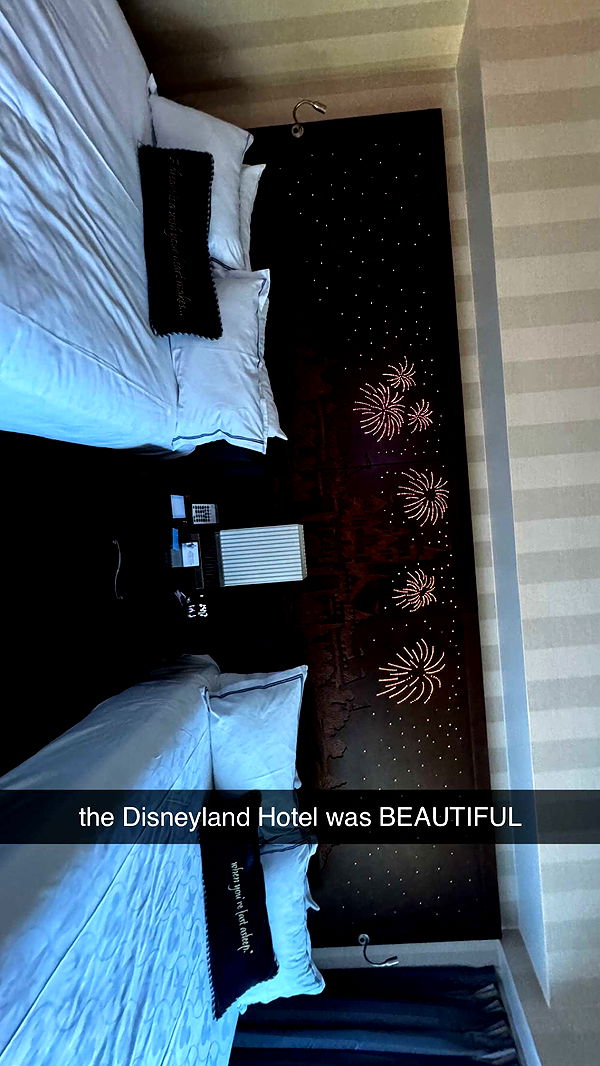 lyssaurora image ~ Altpins