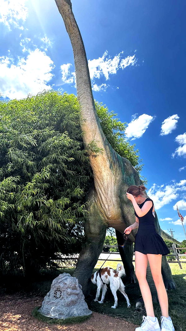 lyssaurora image ~ Altpins