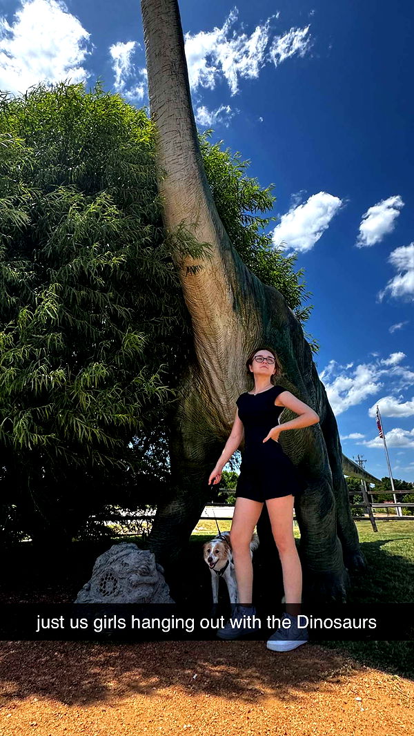 lyssaurora image ~ Altpins