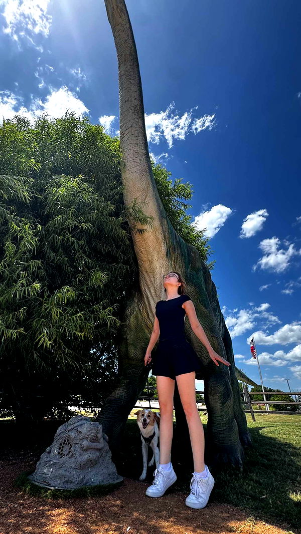 lyssaurora image ~ Altpins