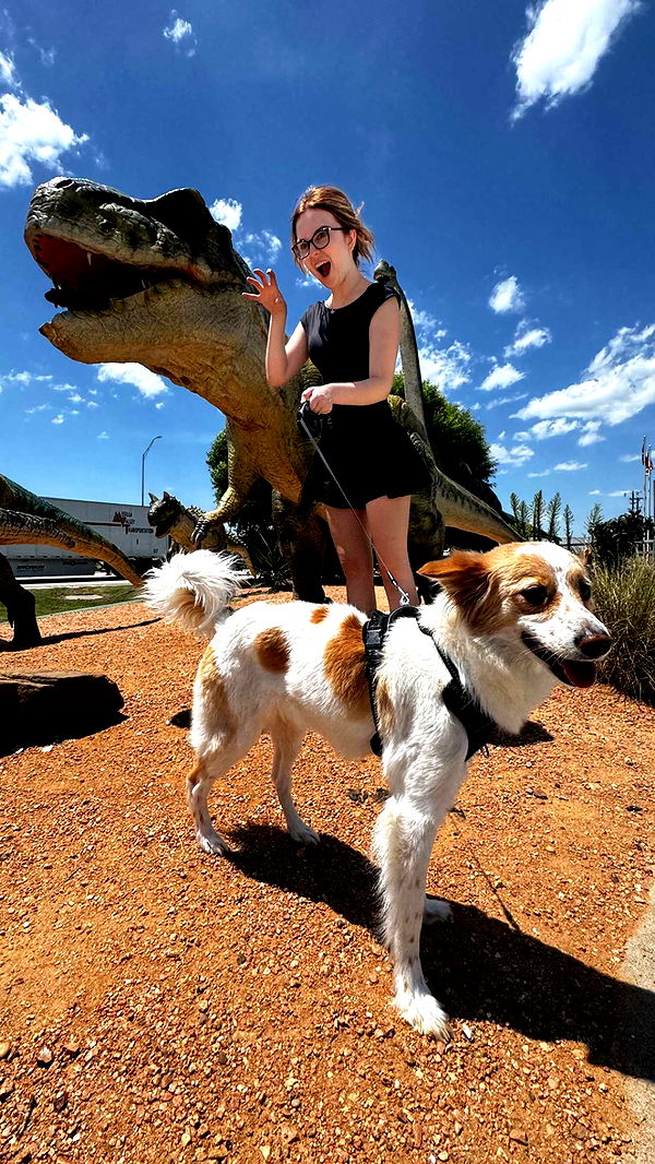 lyssaurora image ~ Altpins