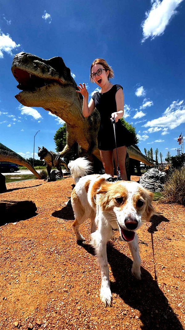 lyssaurora image ~ Altpins