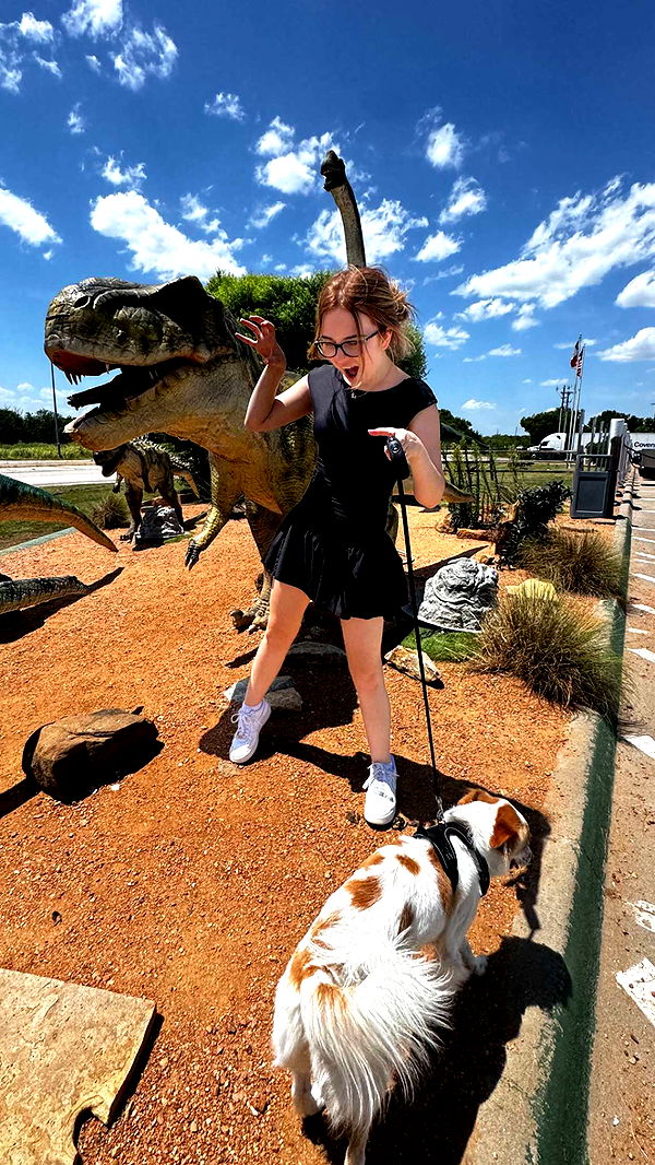 lyssaurora image ~ Altpins