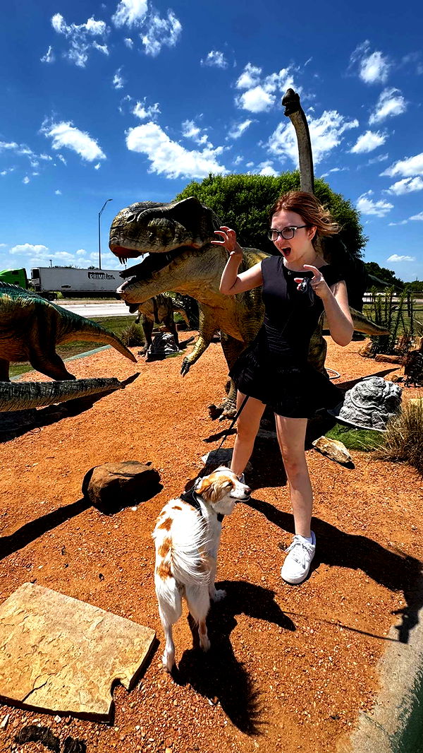 lyssaurora image ~ Altpins