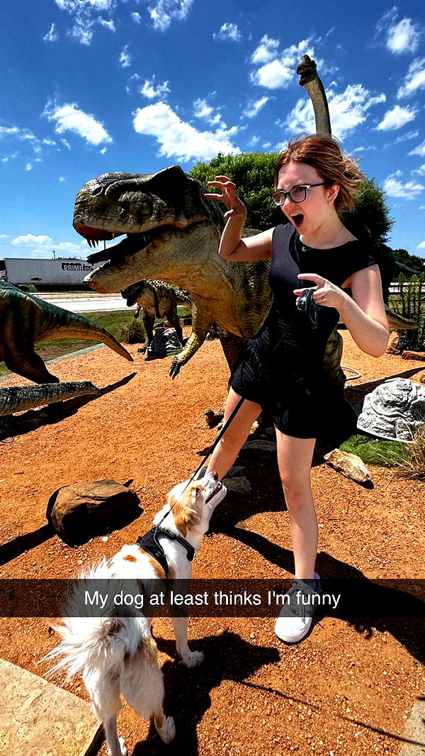 lyssaurora image ~ Altpins