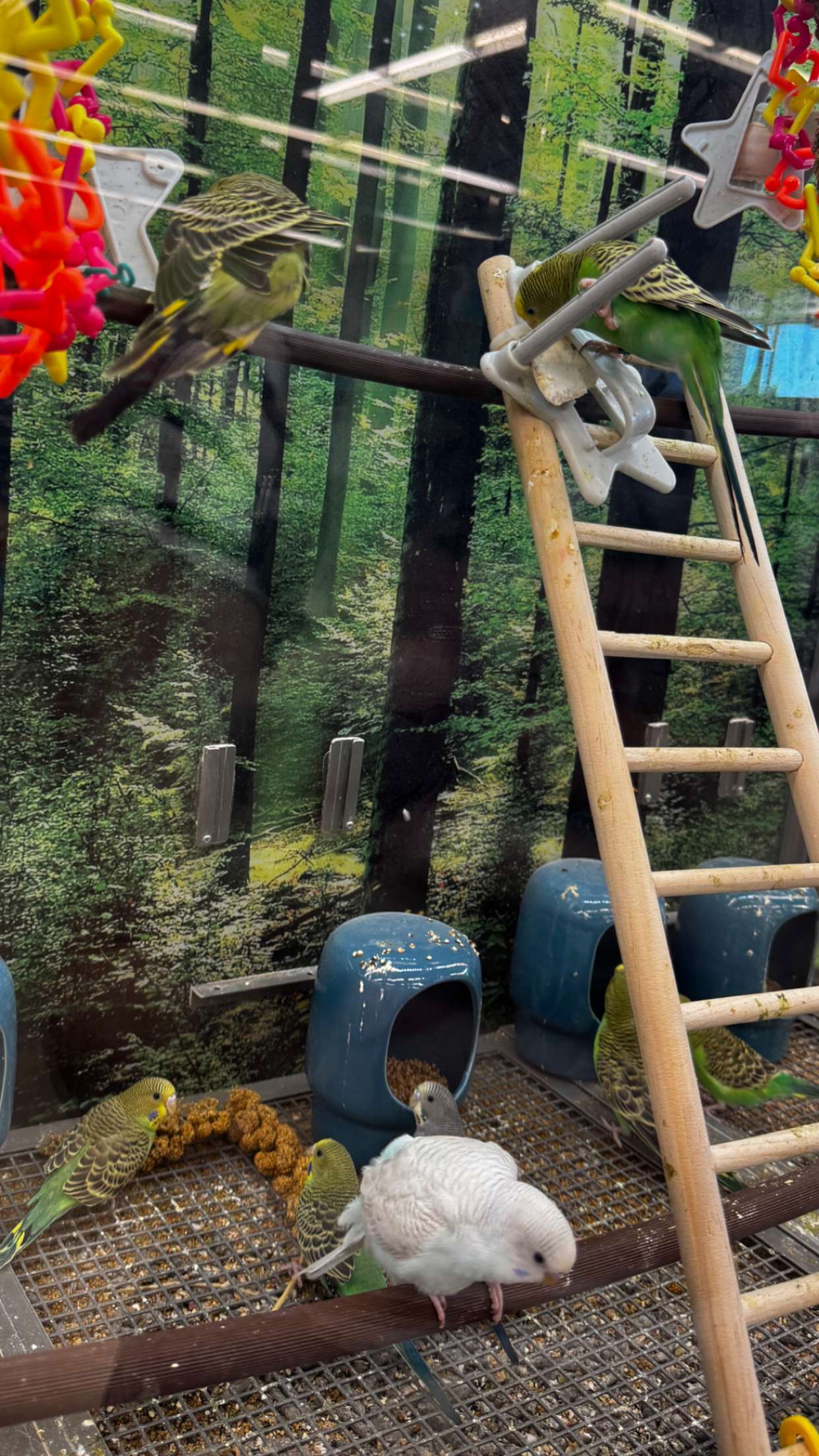 lyssaurora snapchat image archive image