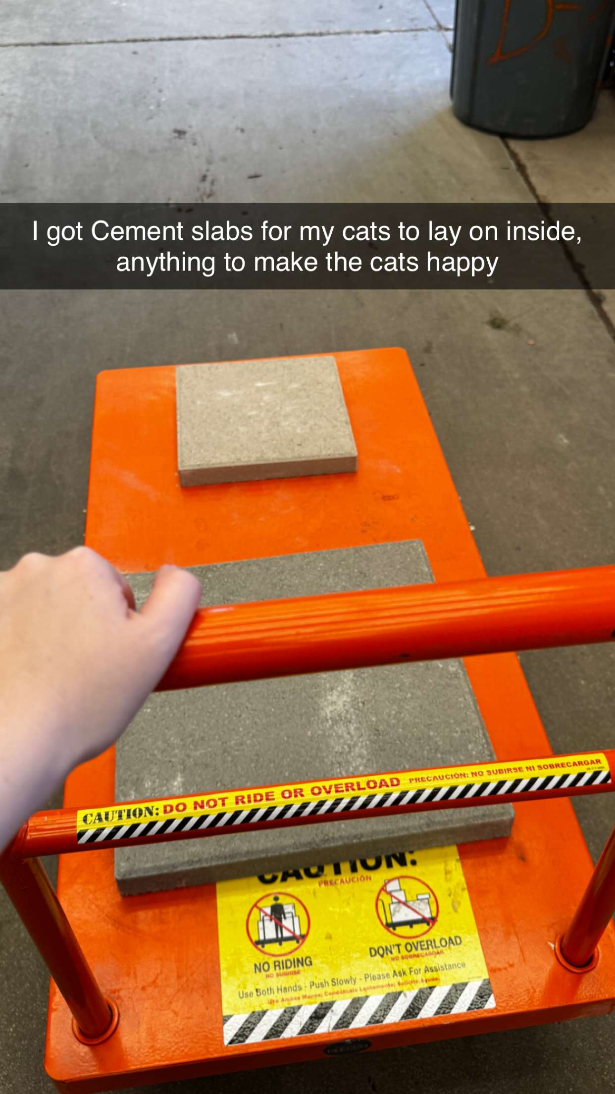 lyssaurora snapchat image archive image