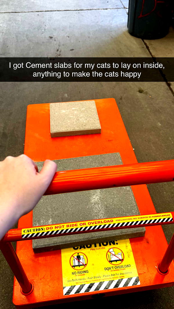 lyssaurora image ~ Altpins