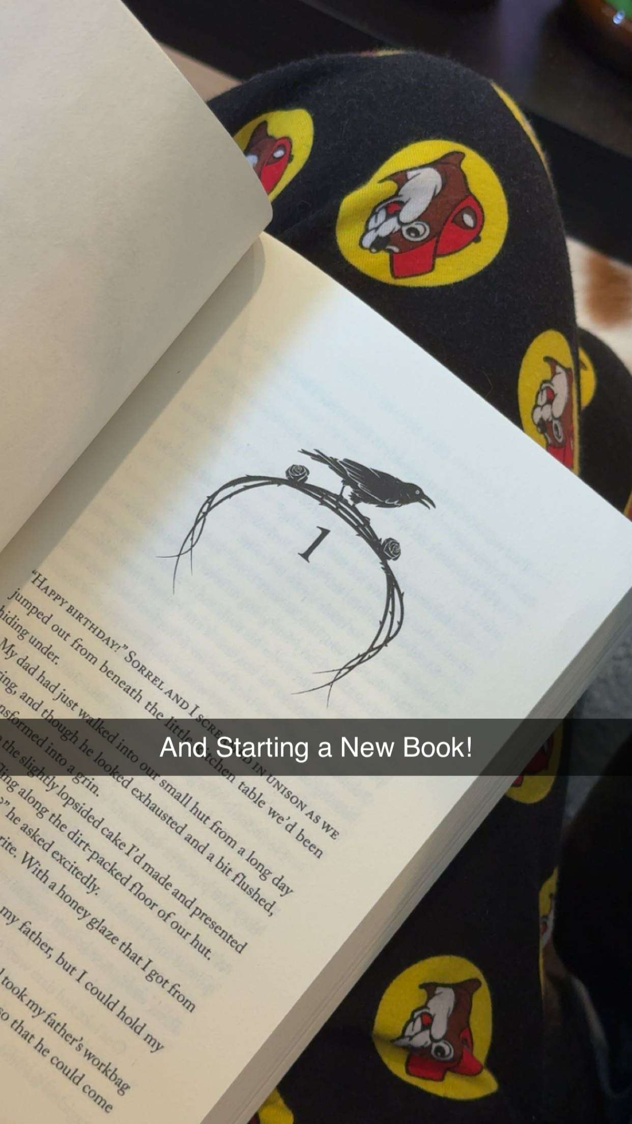 lyssaurora snapchat image archive image