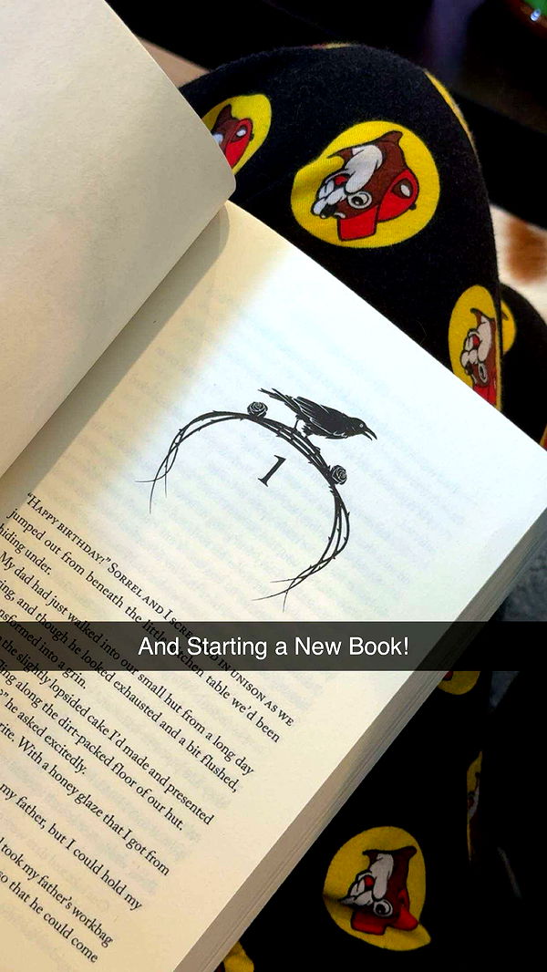 lyssaurora image ~ Altpins