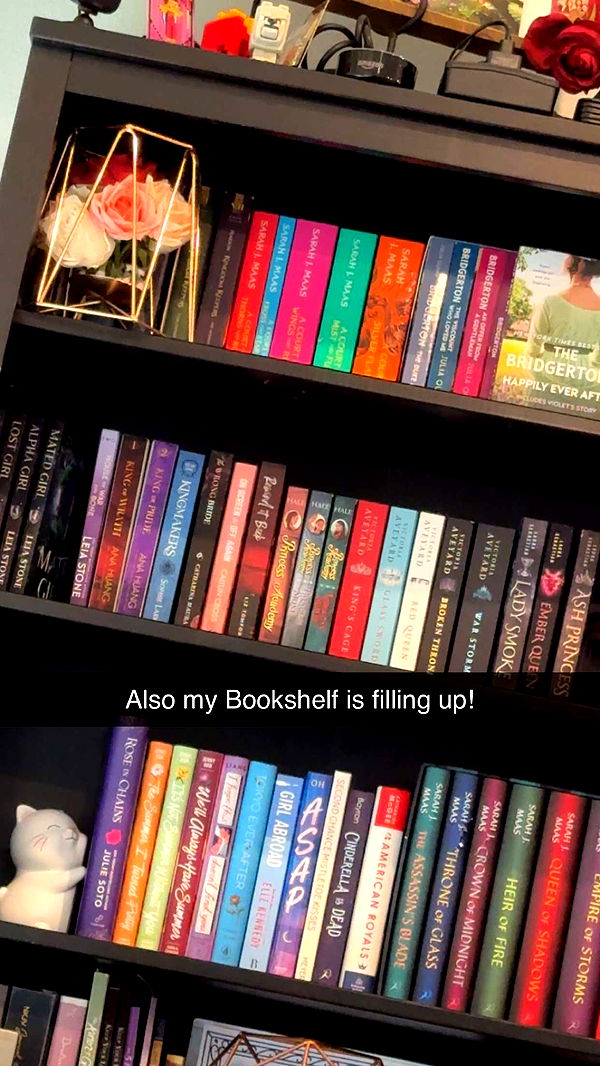 lyssaurora image ~ Altpins