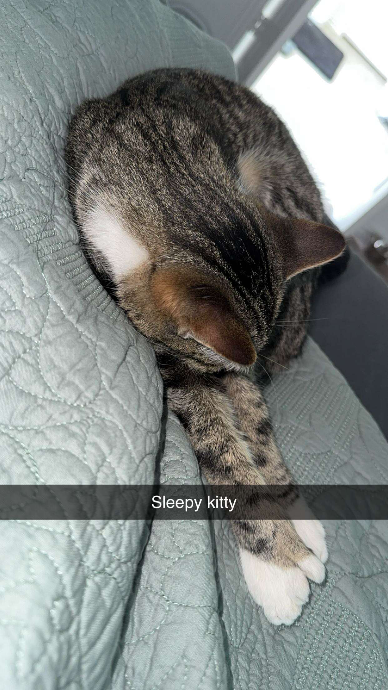 lyssaurora snapchat image archive image