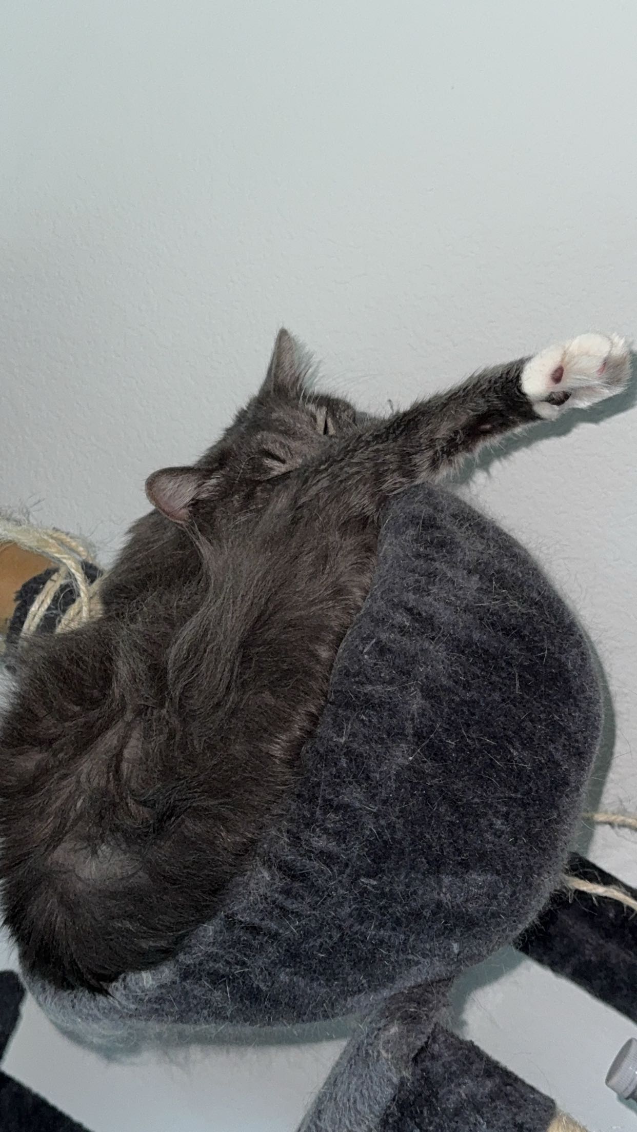 lyssaurora snapchat image archive image