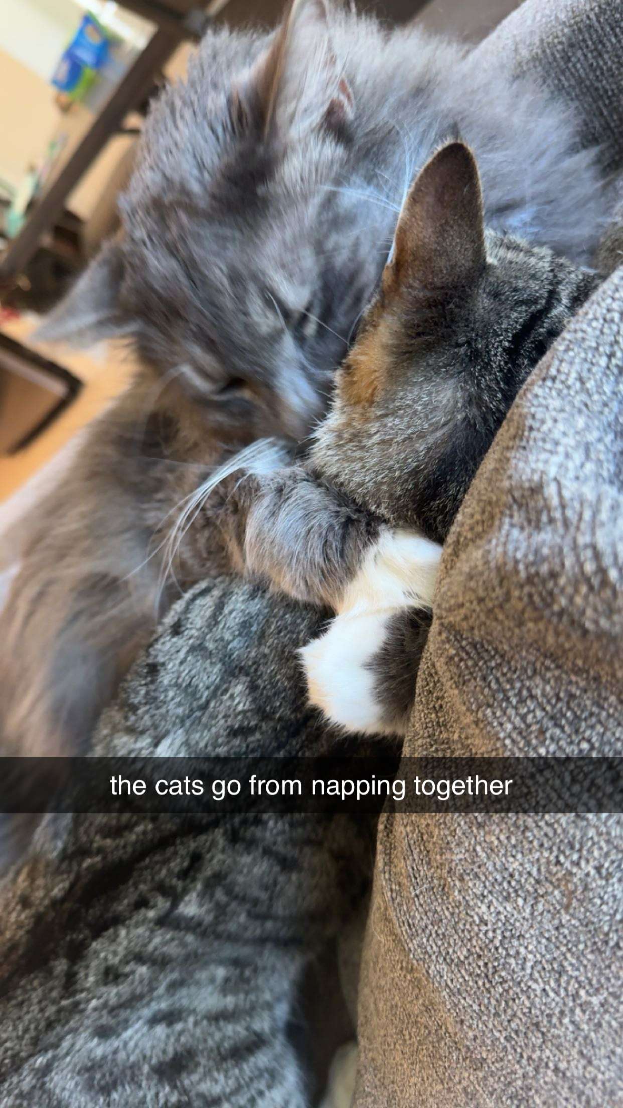 lyssaurora snapchat image archive image