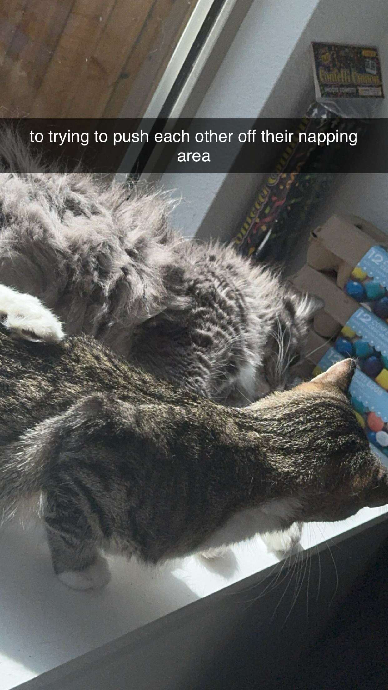 lyssaurora snapchat image archive image