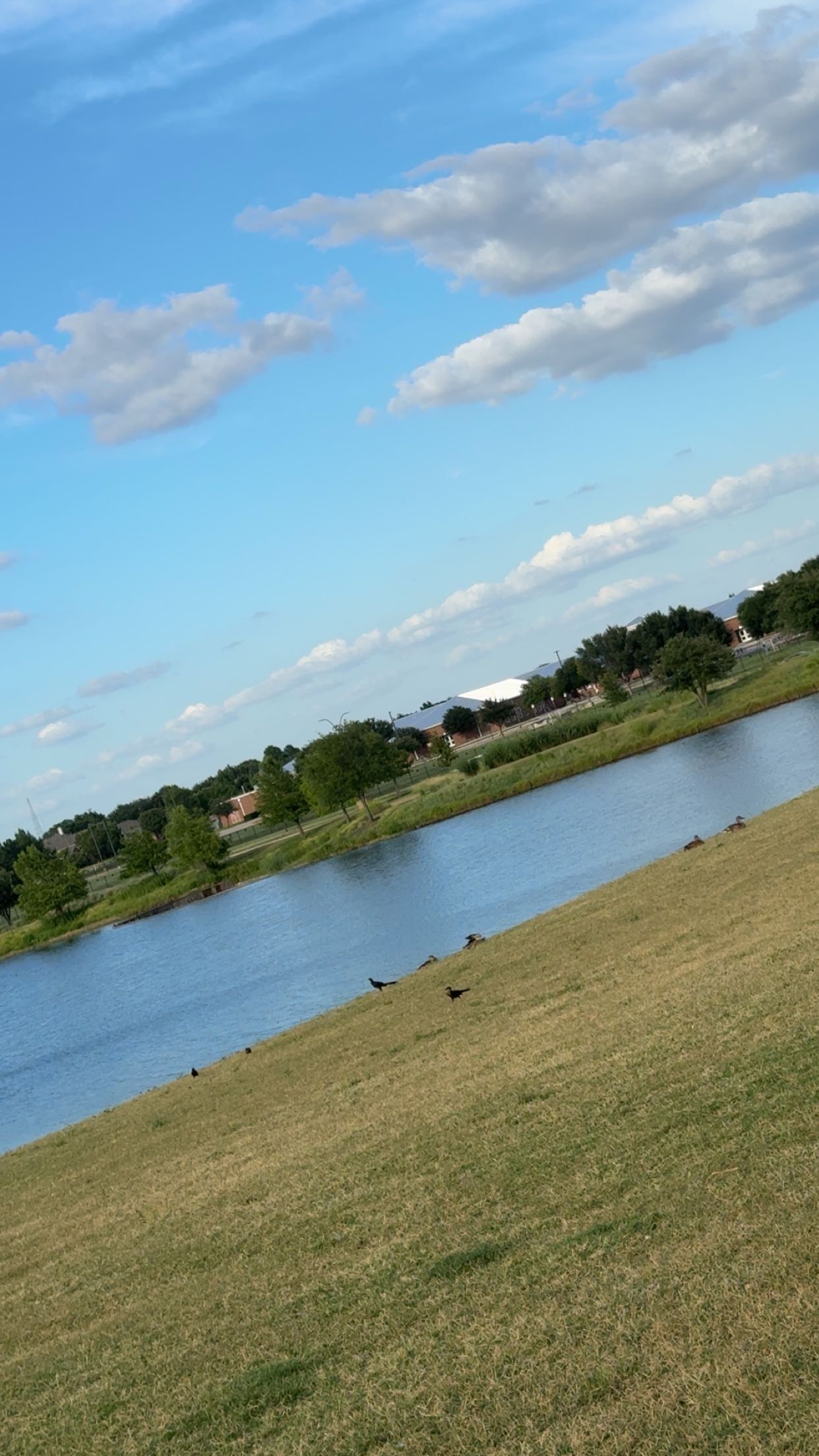 lyssaurora snapchat image archive image