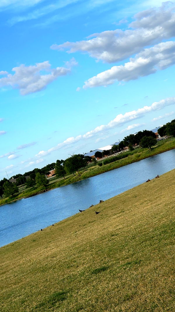 lyssaurora image ~ Altpins