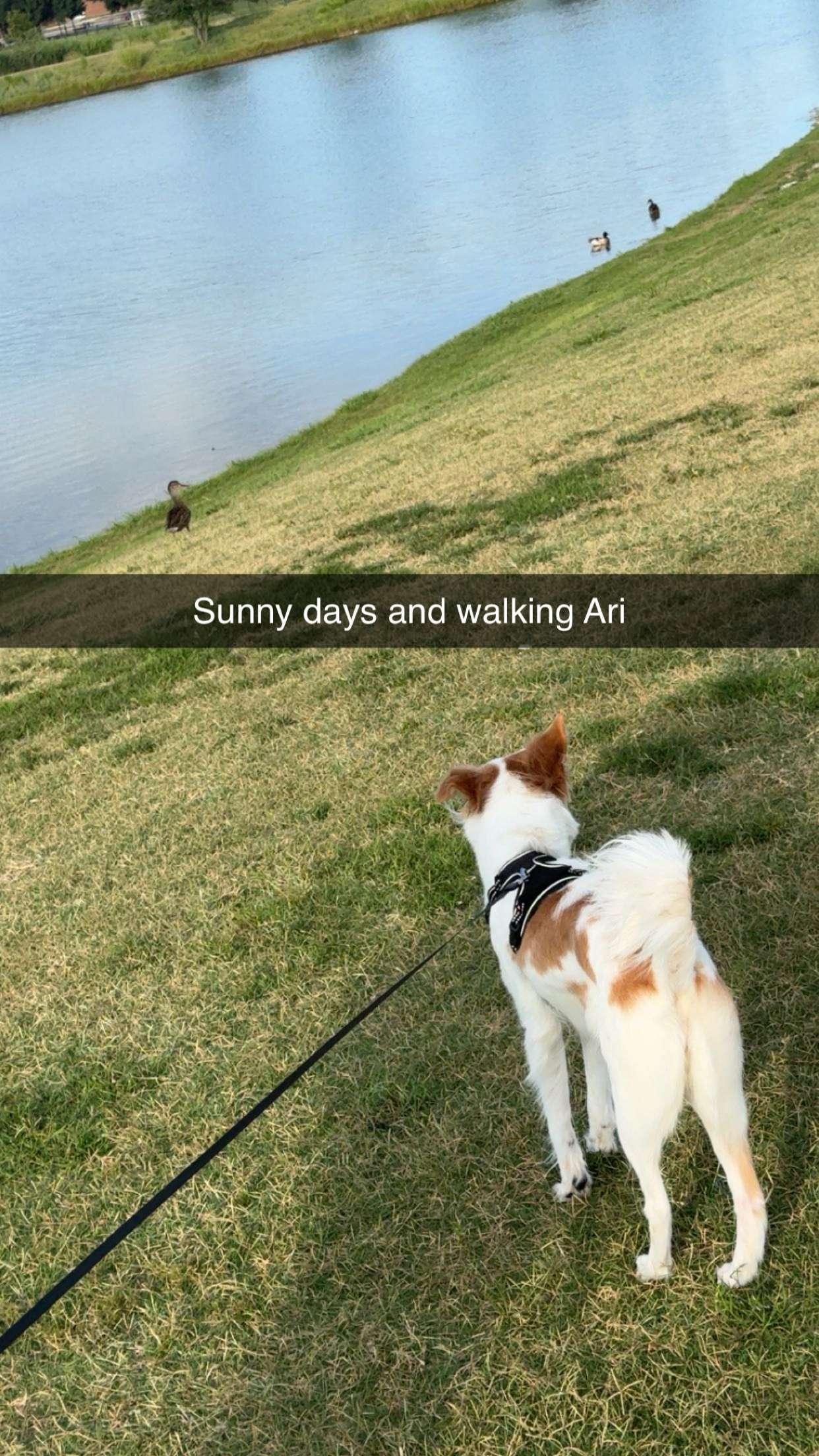 lyssaurora snapchat image archive image