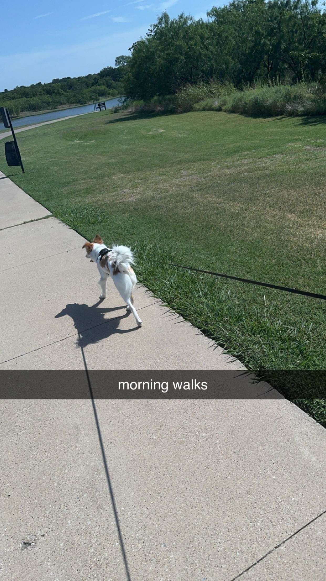 lyssaurora snapchat image archive image