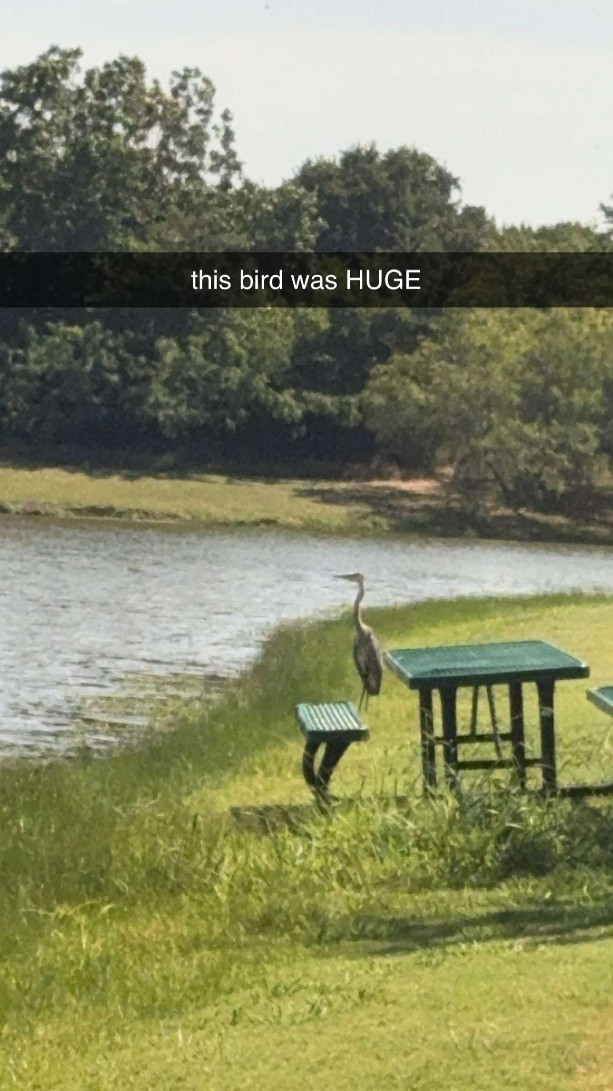 lyssaurora snapchat image archive image