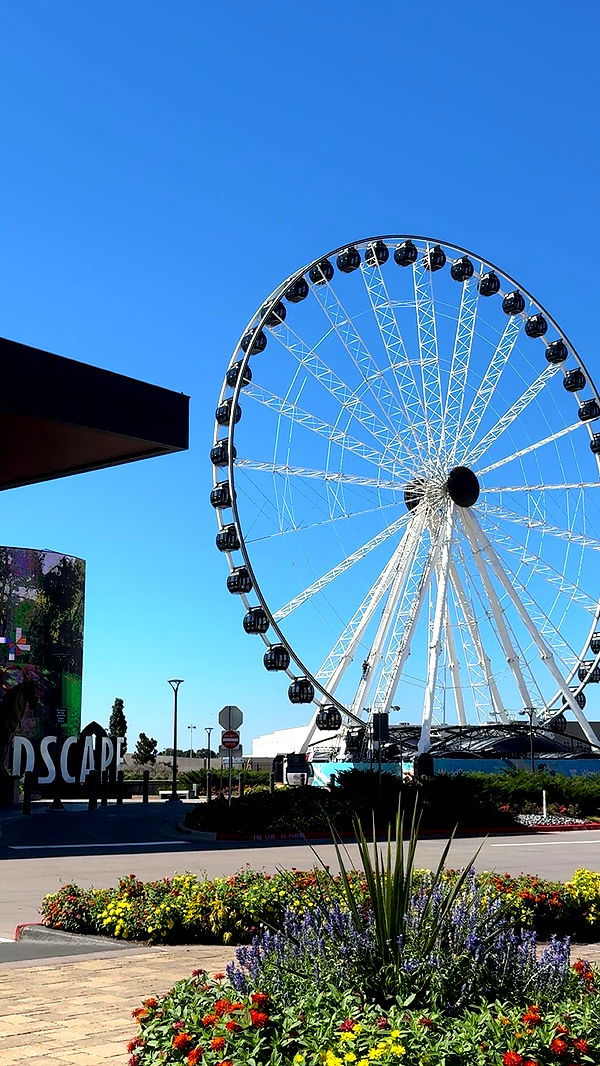 lyssaurora image ~ Altpins