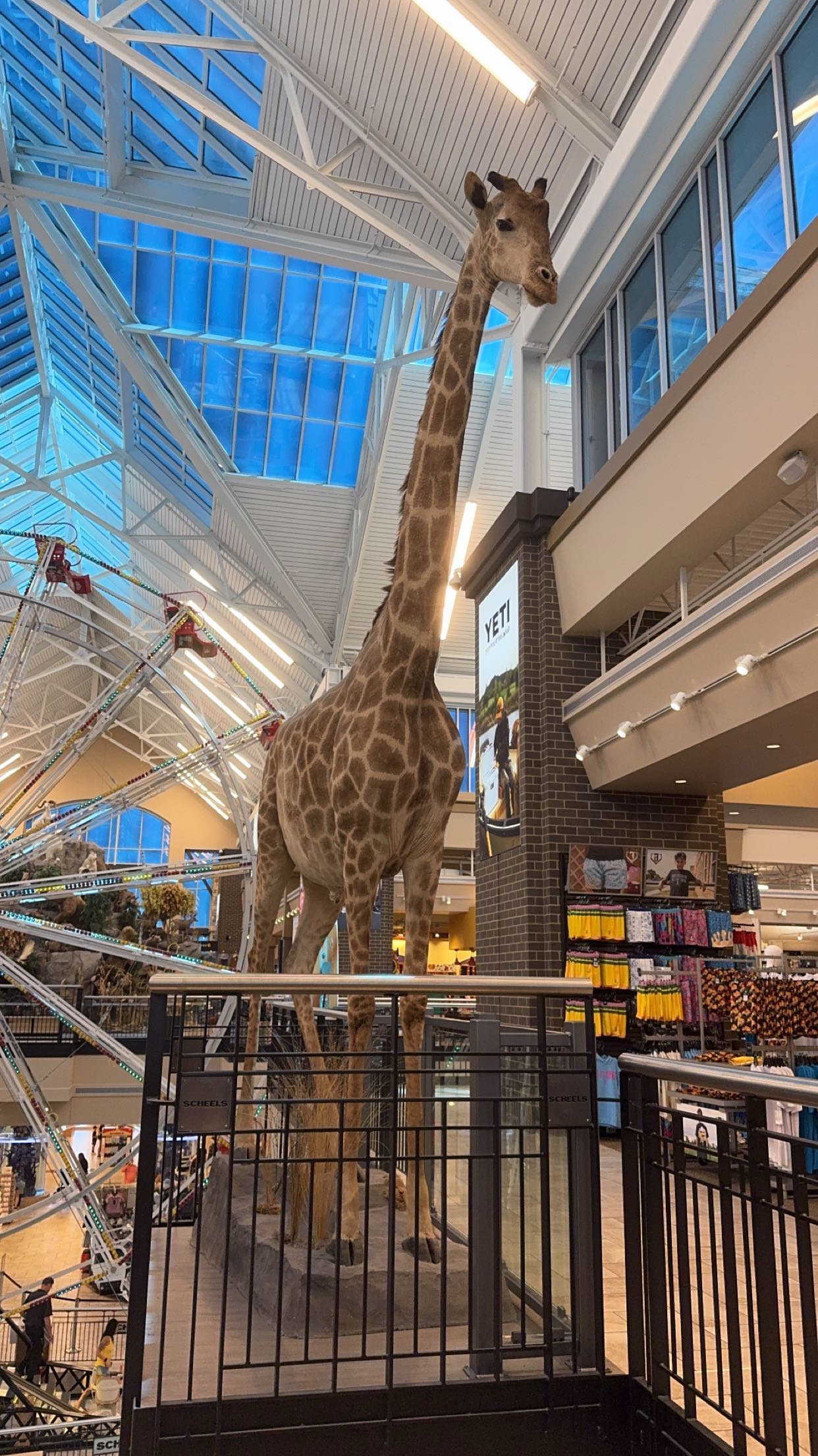 lyssaurora snapchat image archive image