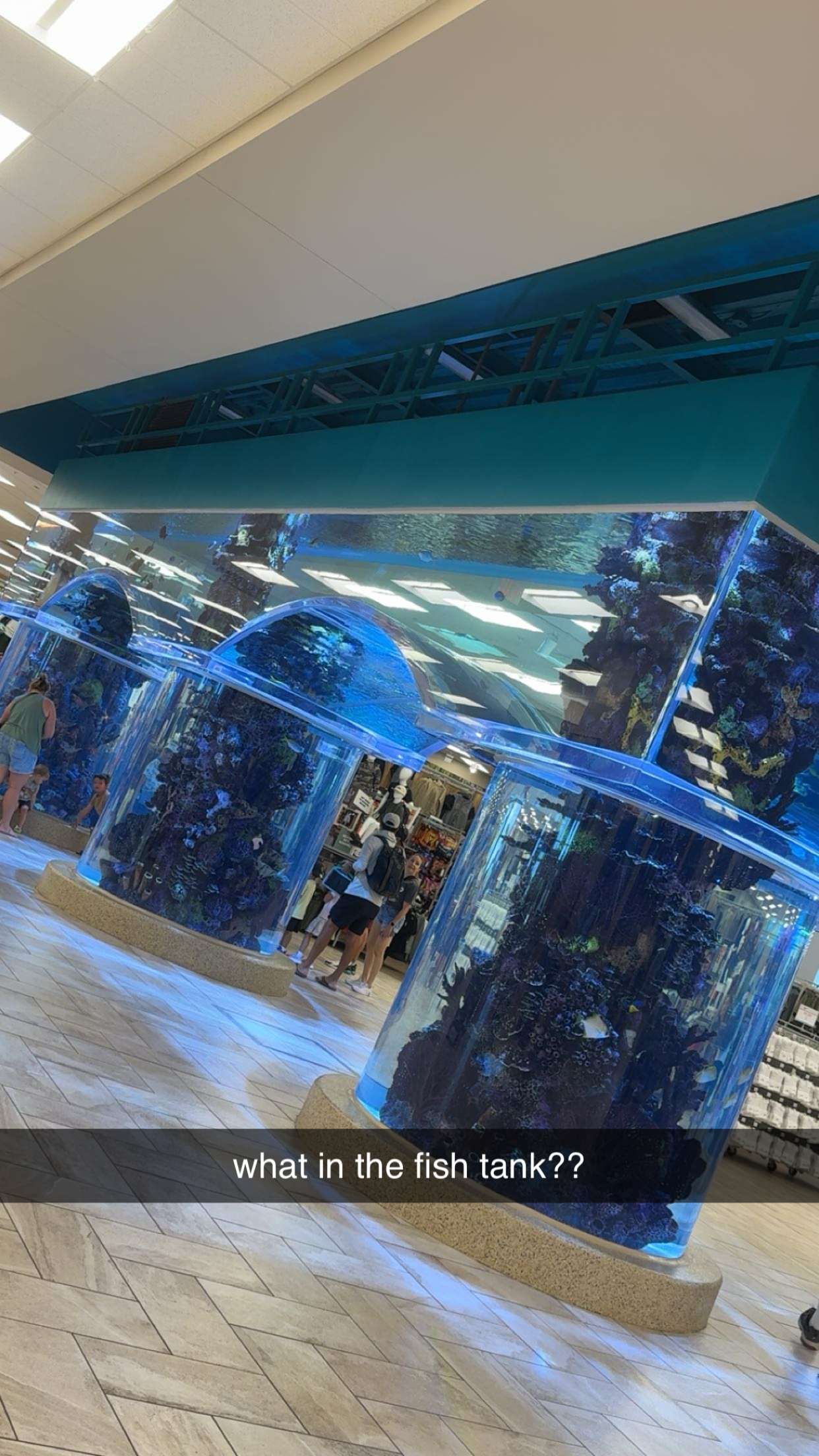 lyssaurora snapchat image archive image