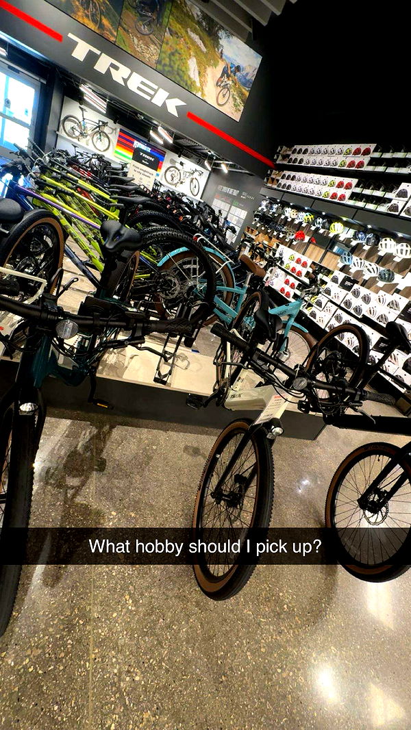 lyssaurora image ~ Altpins