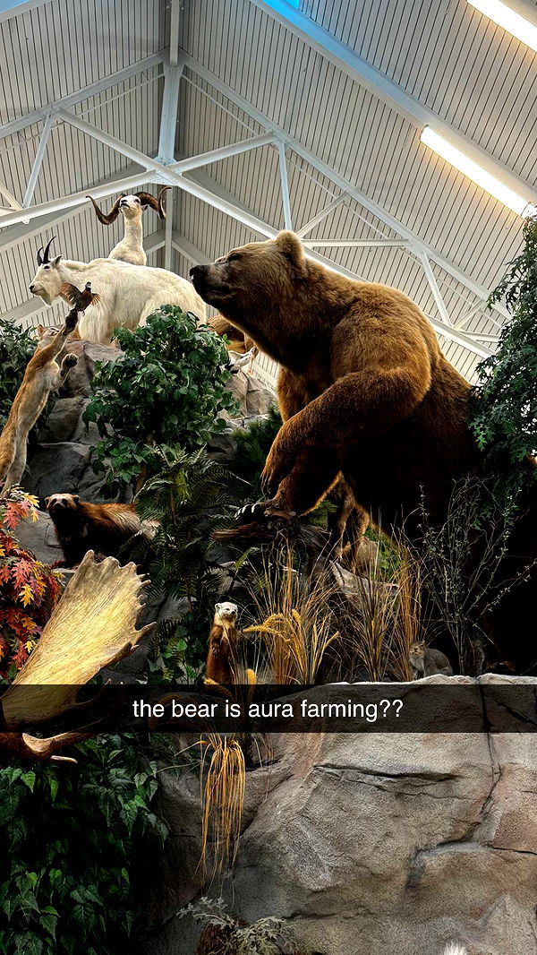 lyssaurora image ~ Altpins