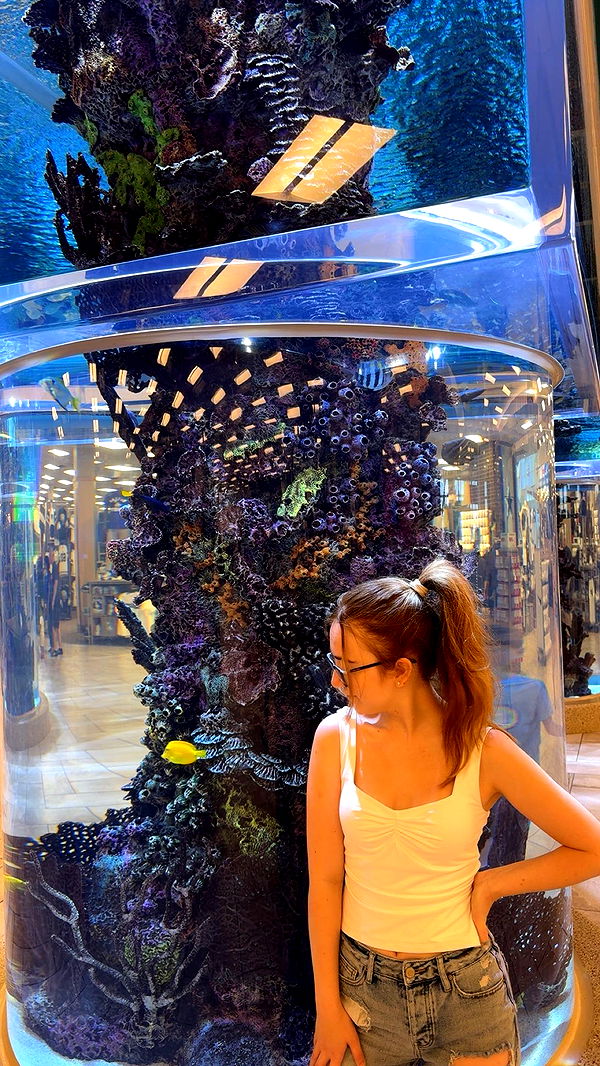 lyssaurora image ~ Altpins