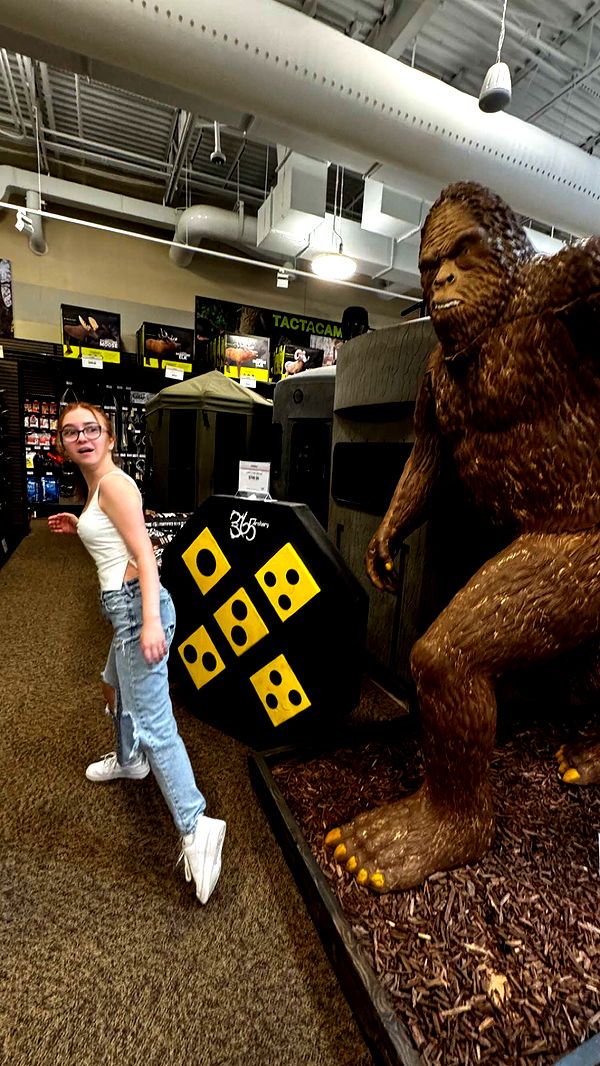 lyssaurora image ~ Altpins