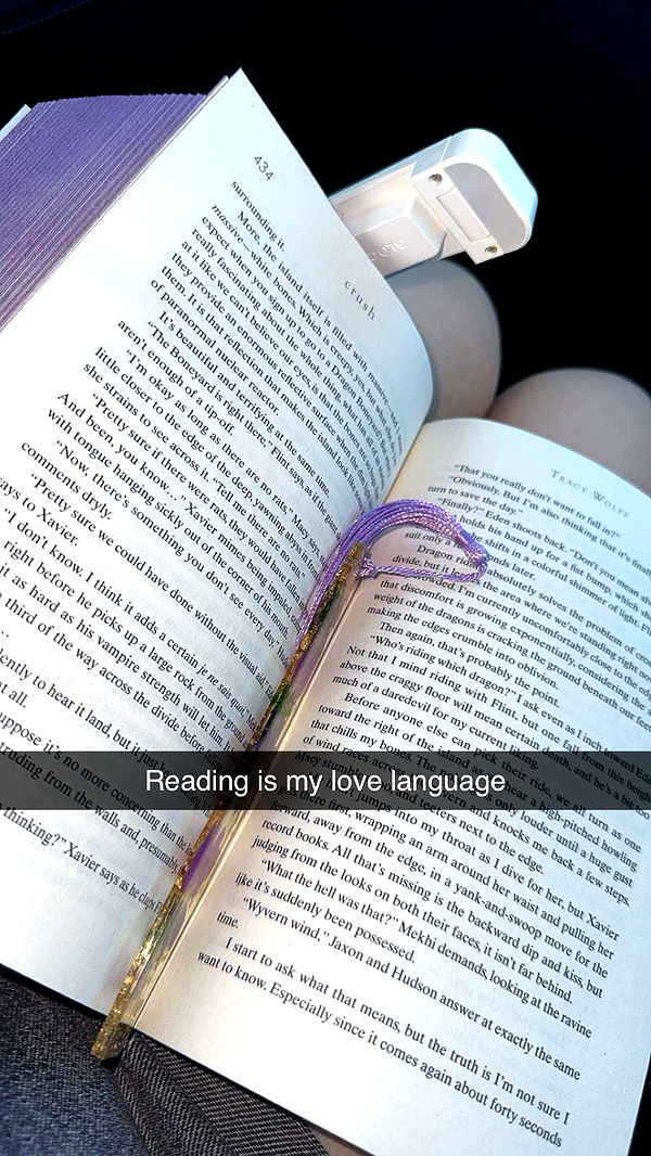 lyssaurora image ~ Altpins