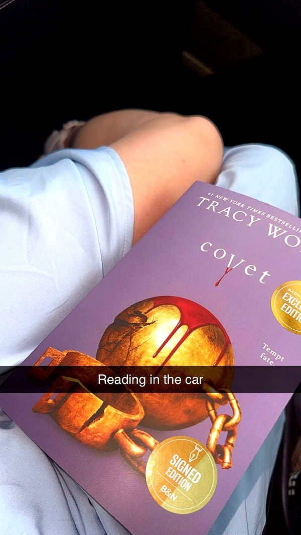 lyssaurora image ~ Altpins