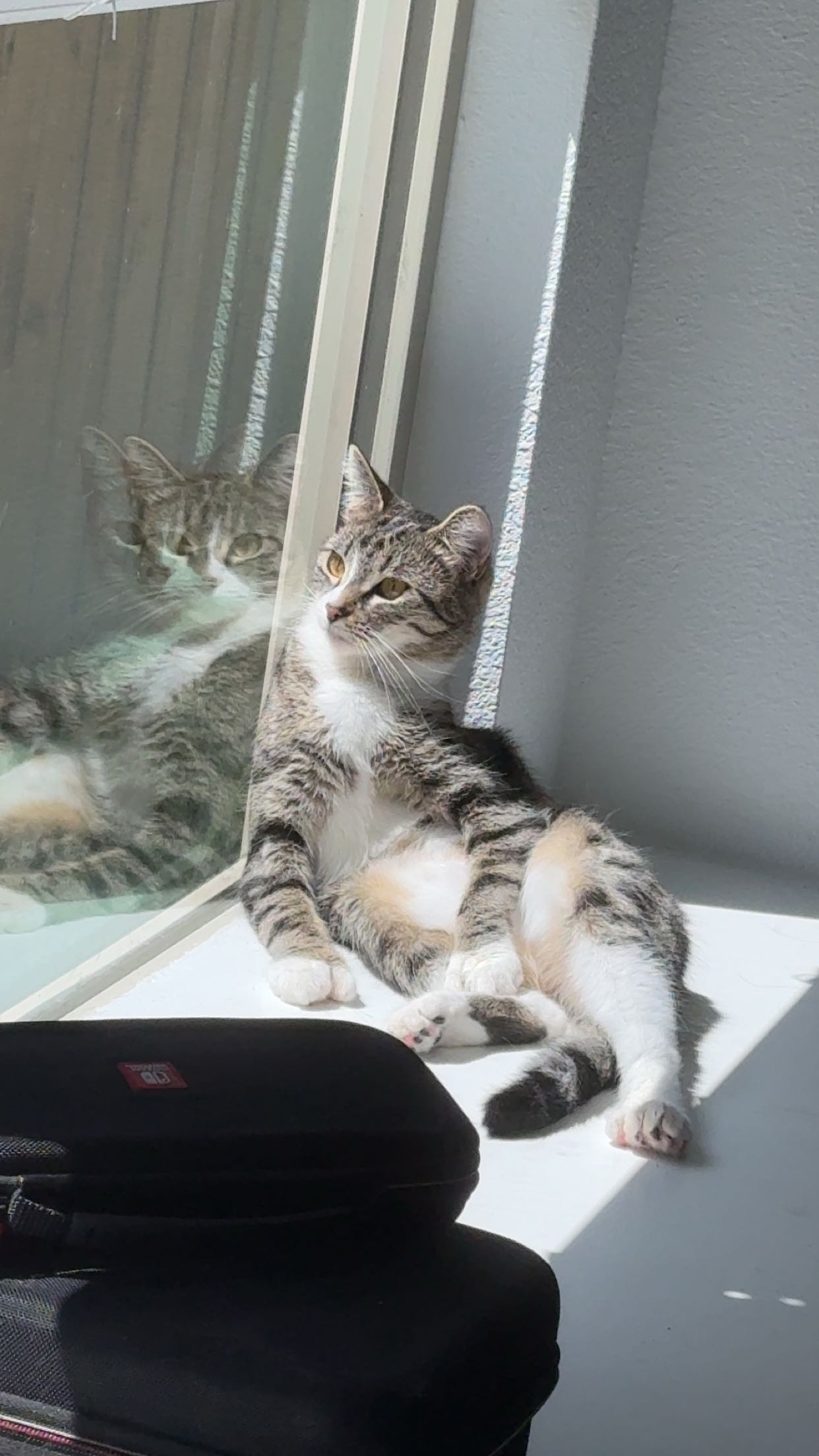 lyssaurora snapchat image archive image