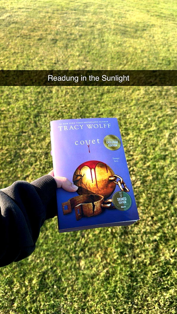 lyssaurora image ~ Altpins