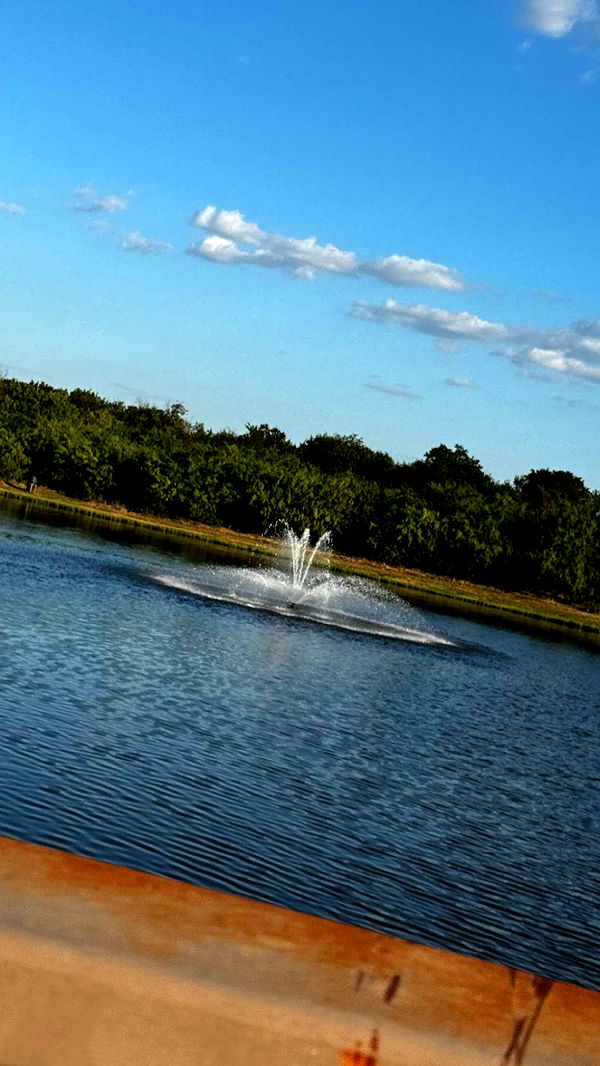 lyssaurora image ~ Altpins