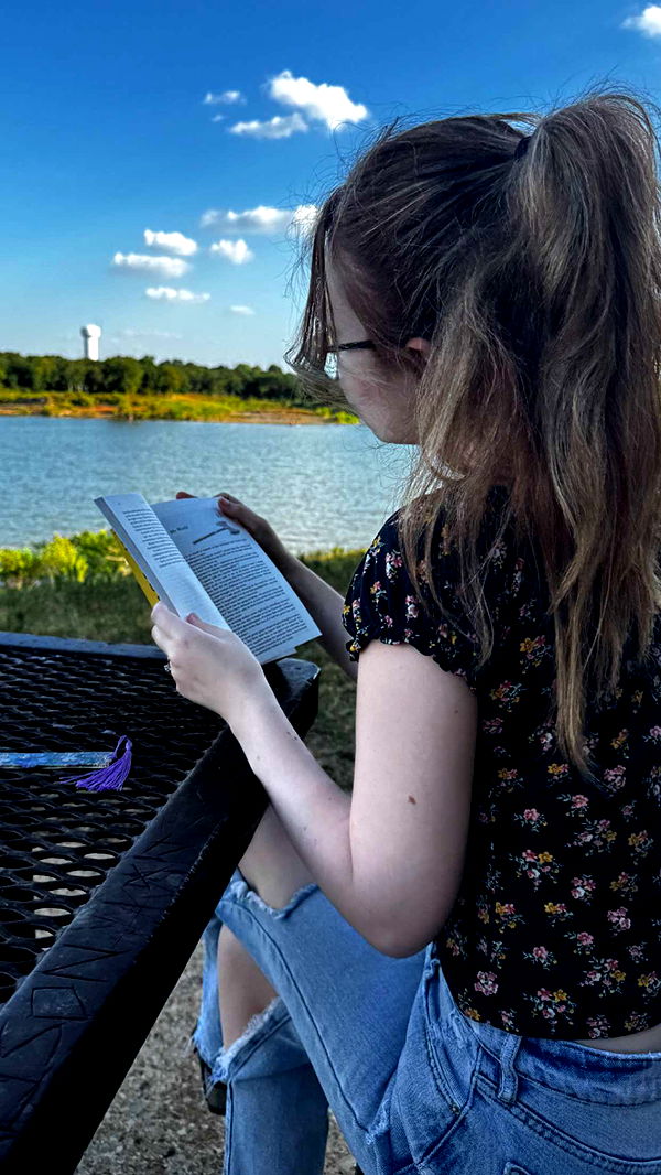 lyssaurora image ~ Altpins