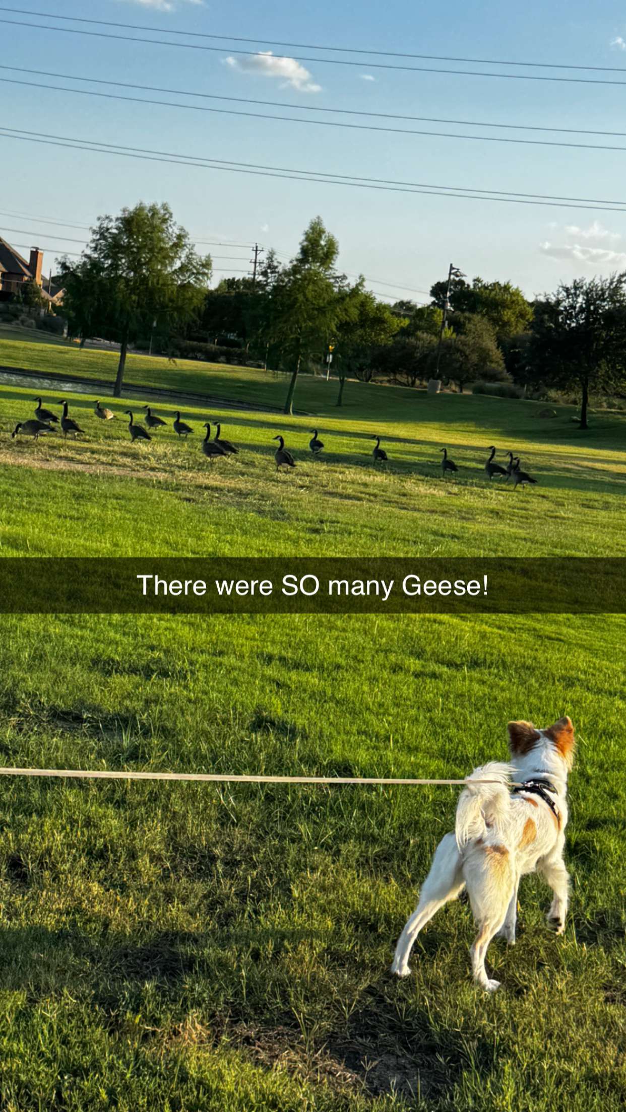 lyssaurora snapchat image archive image