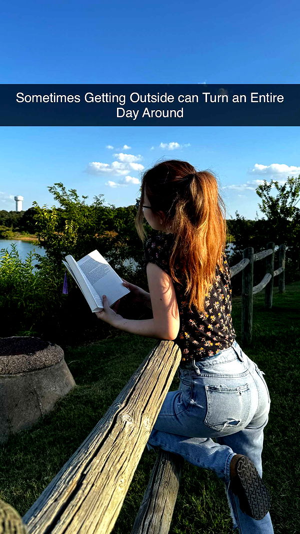 lyssaurora image ~ Altpins