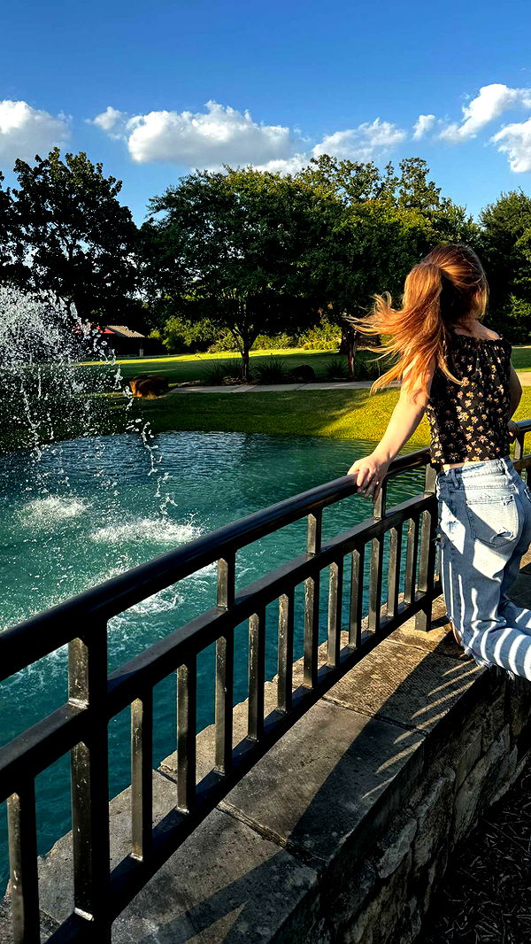 lyssaurora image ~ Altpins