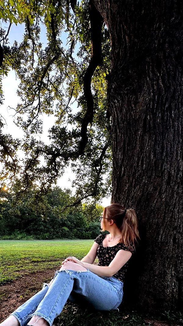 lyssaurora image ~ Altpins